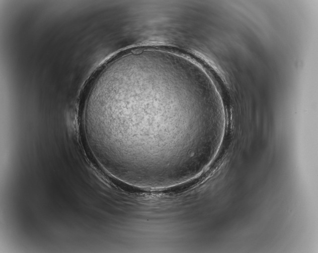 X0000093401452200710190914