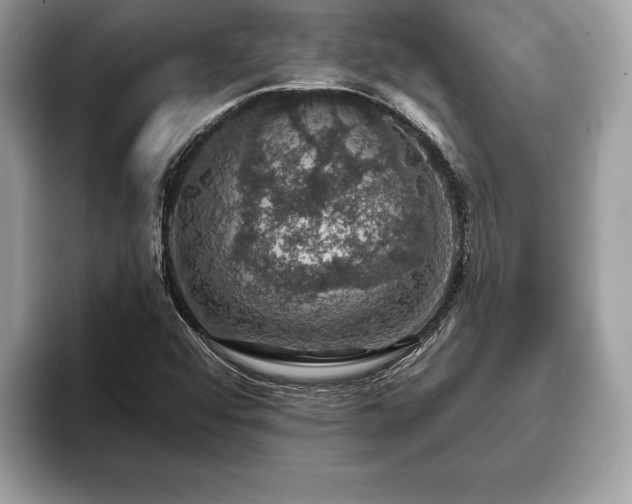 X0000093401456200710190914
