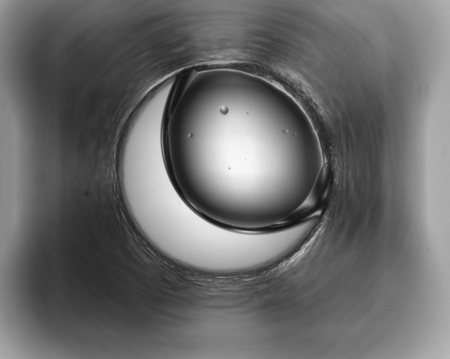 X0000093401457200710190914