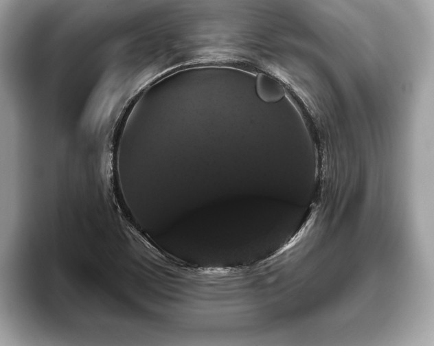 X0000093401459200710190914
