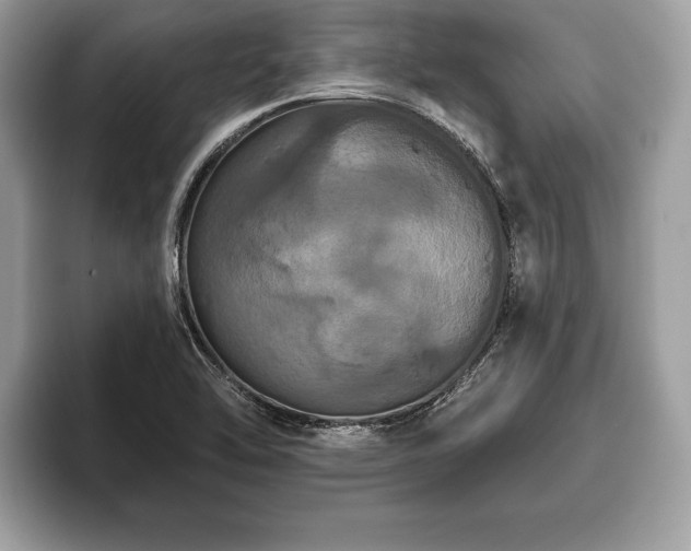 X0000093401462200710190914