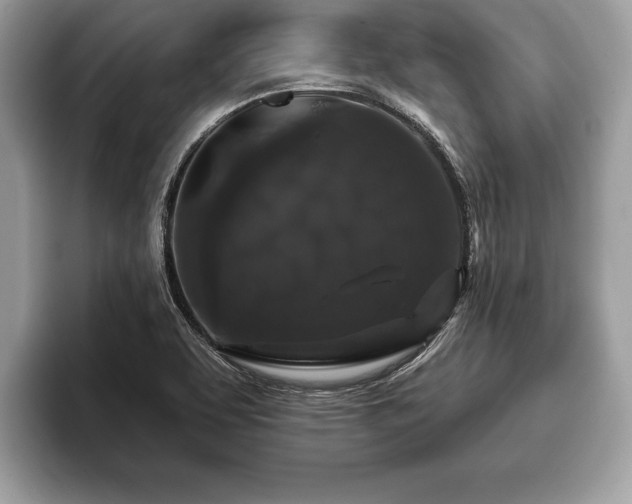 X0000093401463200710190914