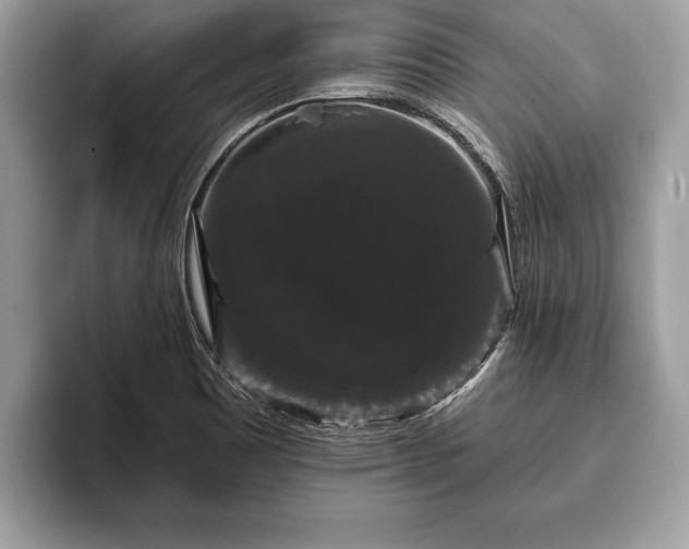 X0000093401465200710190914