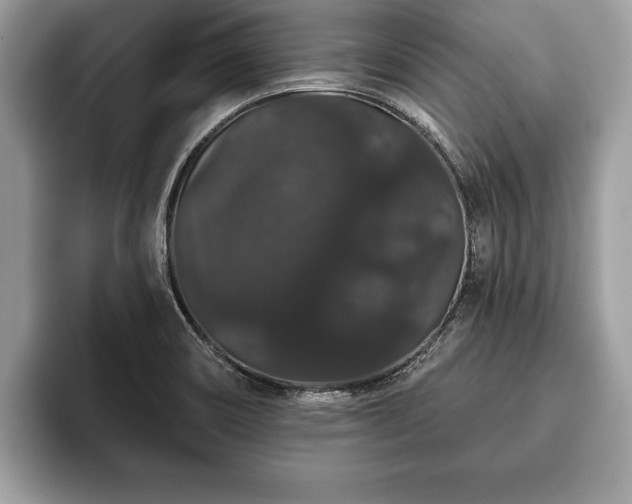 X0000093401466200710190914