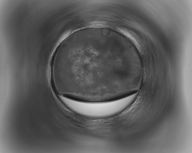 X0000093401467200710190914