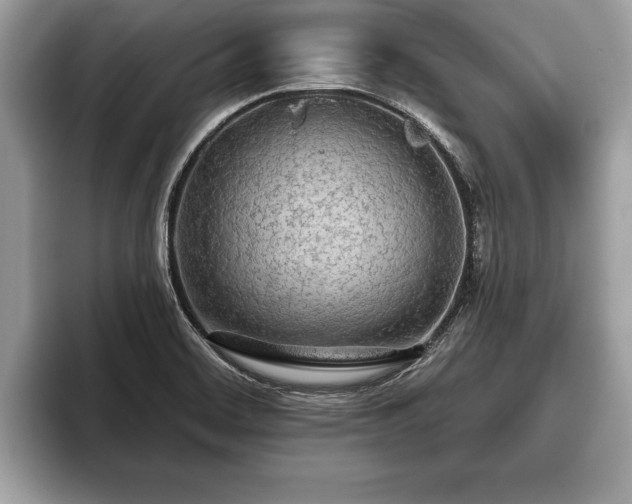 X0000093401468200710190914