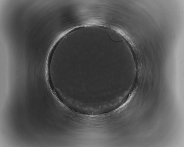 X0000093401469200710190914