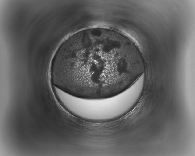 X0000093401471200710190914