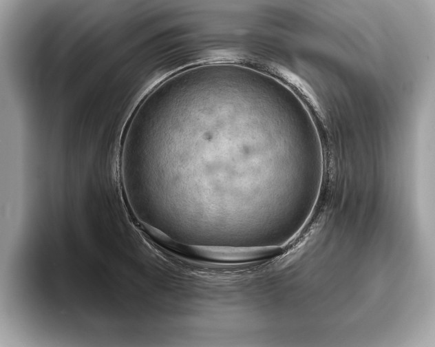 X0000093401473200710190914