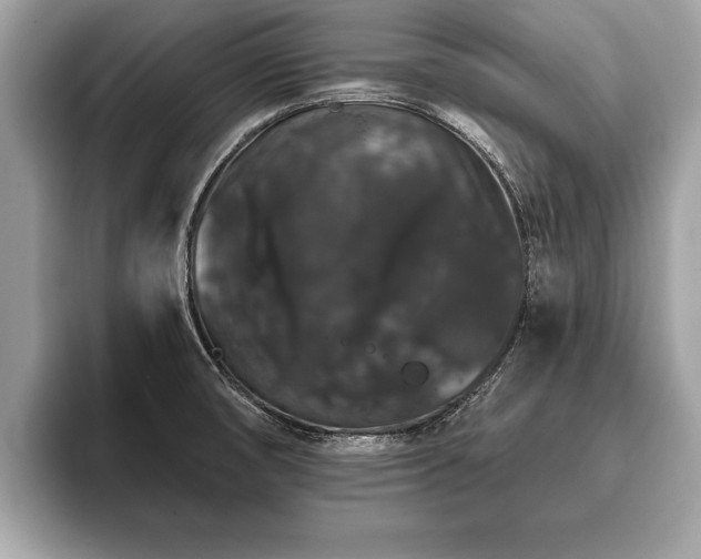 X0000093401474200710190914