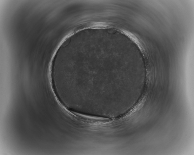X0000093401475200710190914