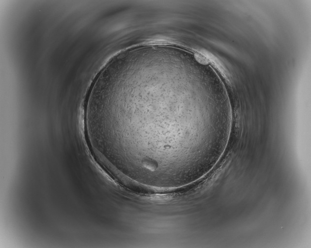 X0000093401476200710190914
