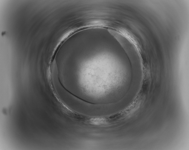 X0000093401477200710190914