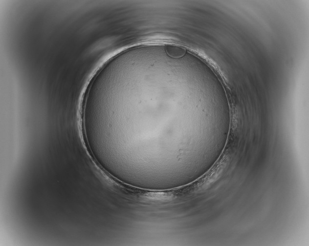 X0000093401478200710190914