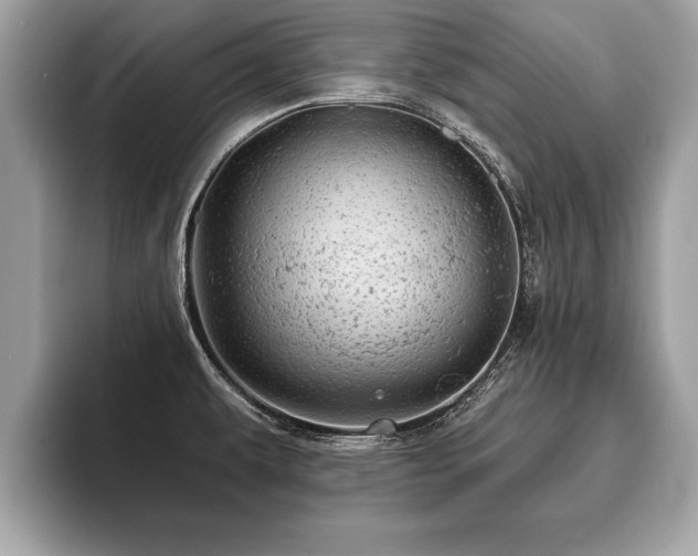 X0000093401479200710190914