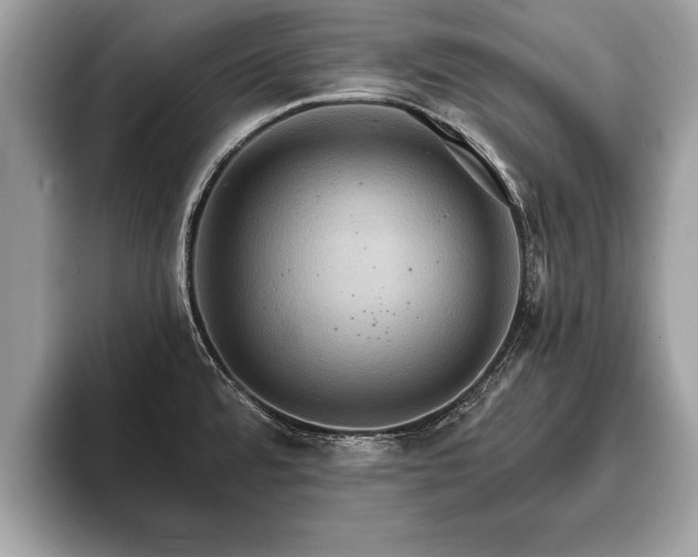 X0000093401480200710190914