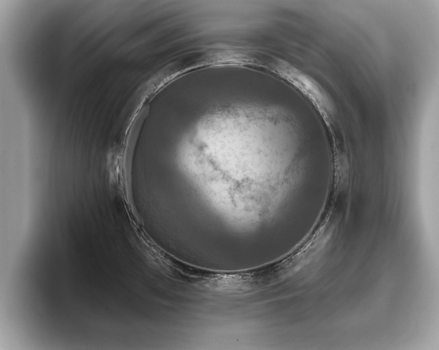 X0000093401481200710190914