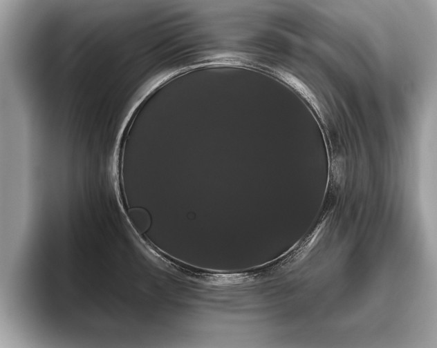 X0000093401482200710190914