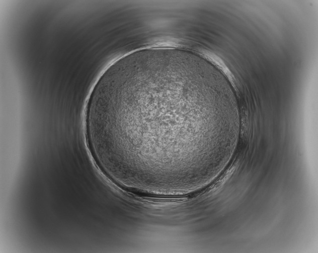 X0000093401483200710190914