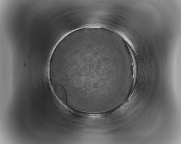 X0000093401484200710190914