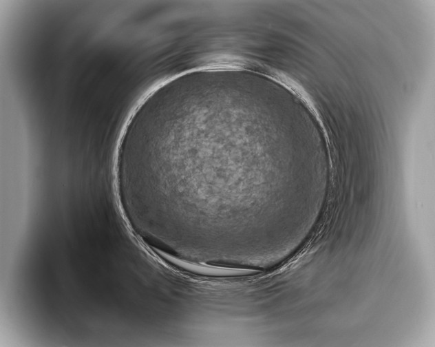 X0000093401488200710190914