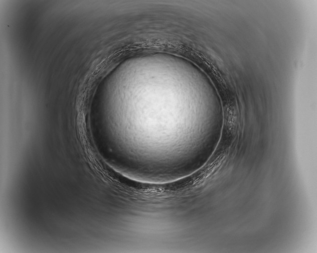 X0000093401489200710190913