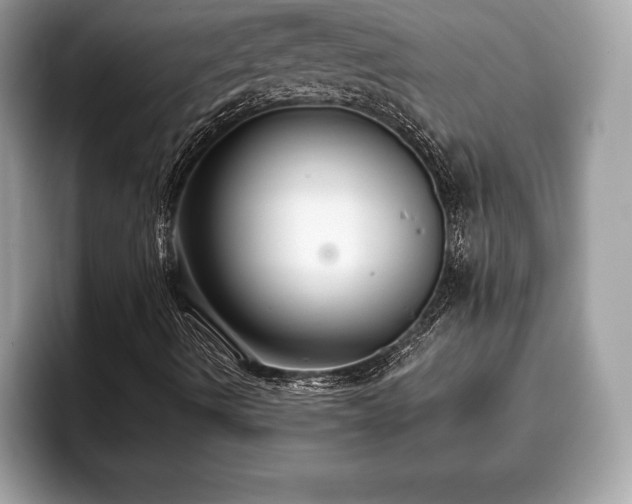 X0000093401490200710190913