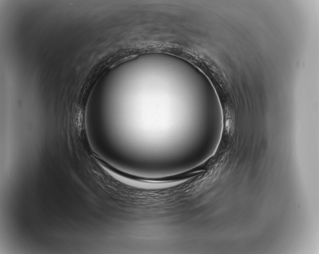 X0000093401492200710190913