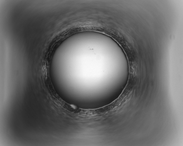 X0000093401493200710190913