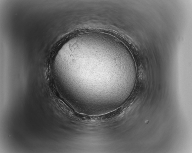 X0000093401494200710190913