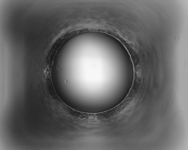 X0000093401495200710190913