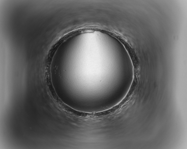 X0000093401496200710190913