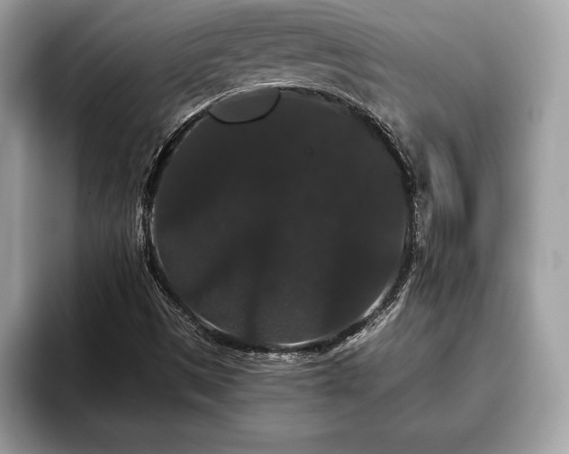 X0000093401497200710190913