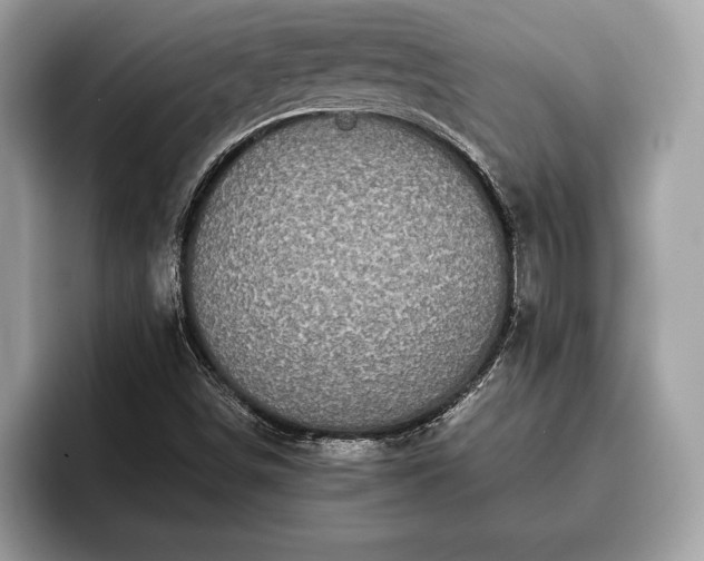 X0000093401498200710190913