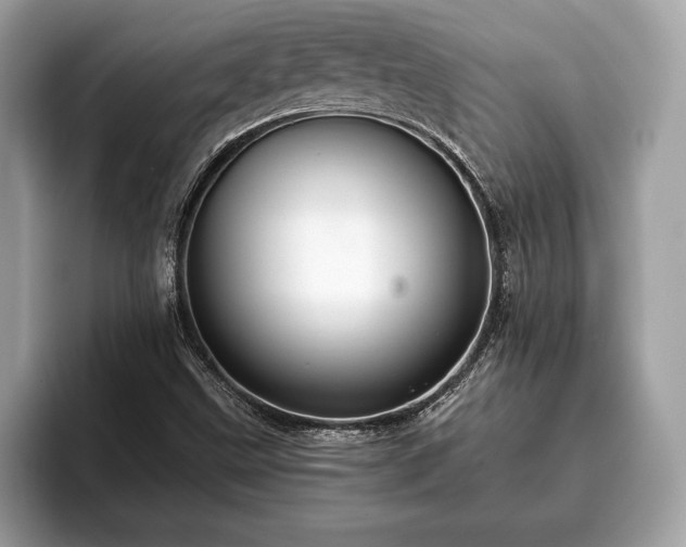 X0000093401499200710190913