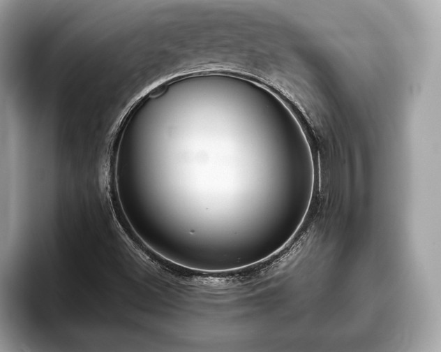 X0000093401500200710190913