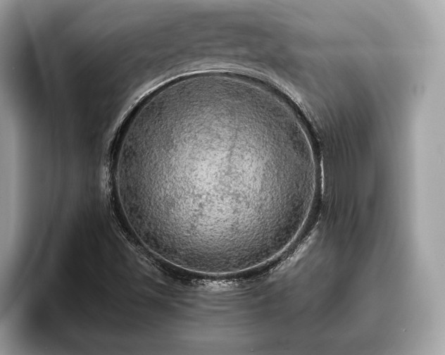 X0000093401501200710190913