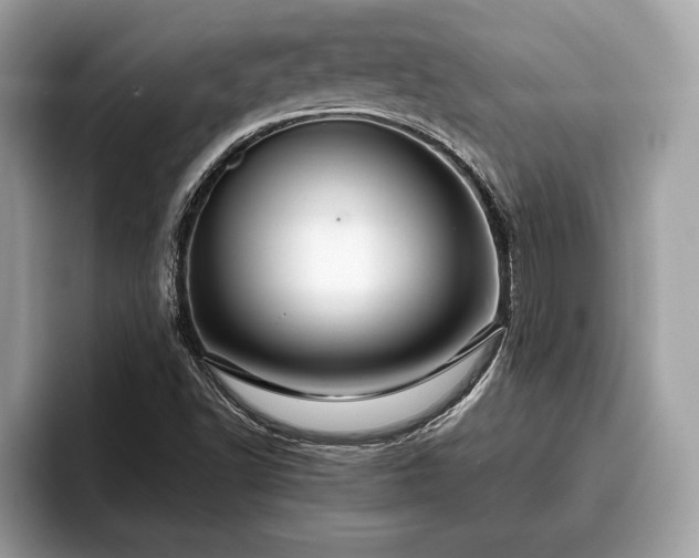 X0000093401502200710190913