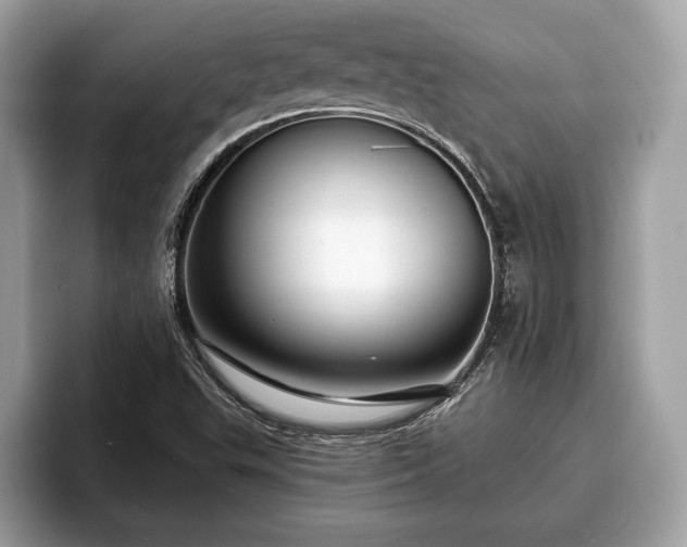 X0000093401503200710190913