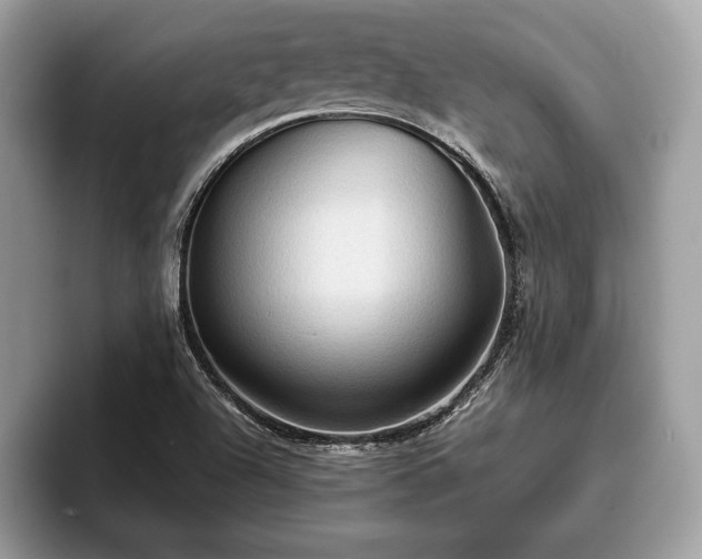 X0000093401504200710190913