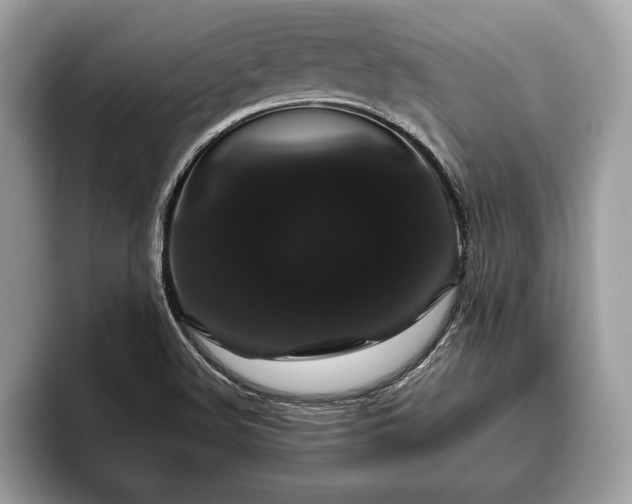 X0000093401508200710190913