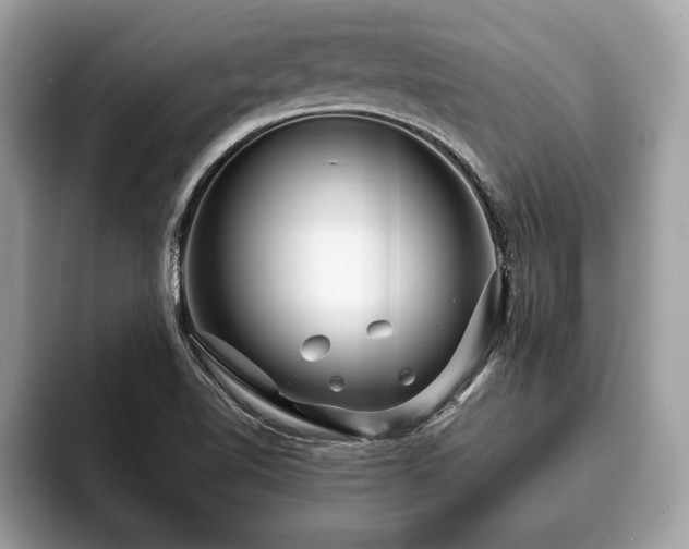 X0000093401510200710190913
