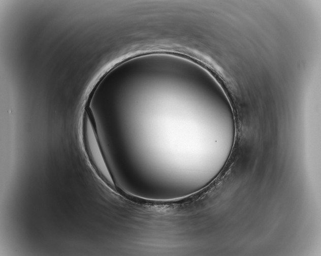 X0000093401512200710190913