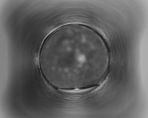 X0000093401513200710190913