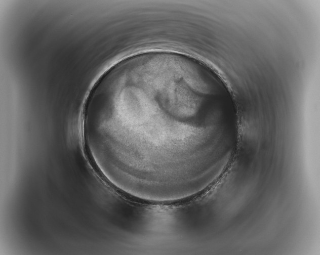 X0000093401514200710190913