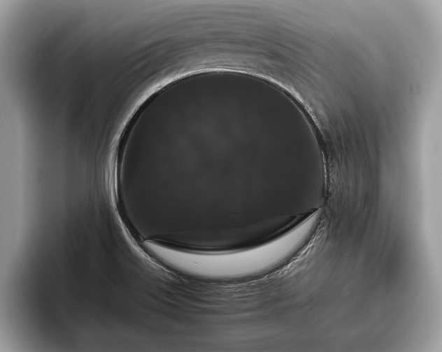 X0000093401515200710190913