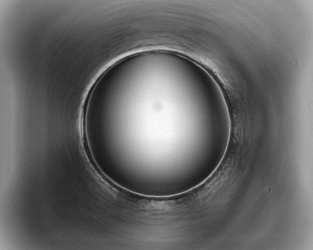 X0000093401516200710190913