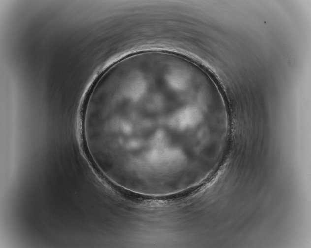 X0000093401517200710190913