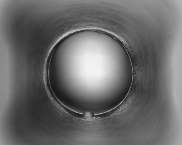 X0000093401518200710190913