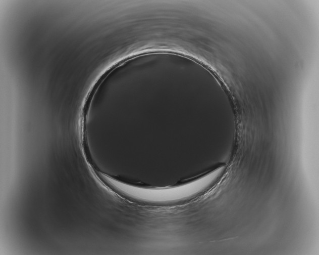 X0000093401519200710190913